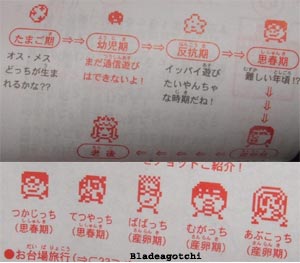 Tamagotchi Keitai Hanerutchi Hanerucchi Characters