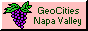 Napa Valley Geocities Icon